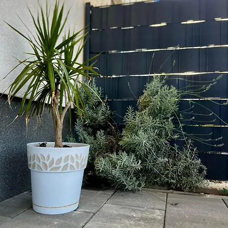 Little Marijeta Apartment Trogir