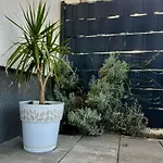 Little Marijeta Apartment Trogir